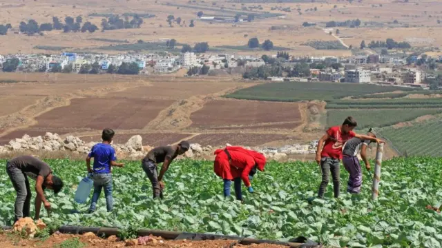 Los Altos del Golán