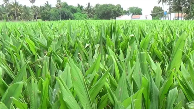 ஈரோடு மக்களவைத் தொகுதி