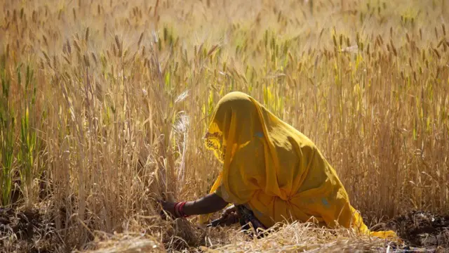 సూర్యరశ్మి