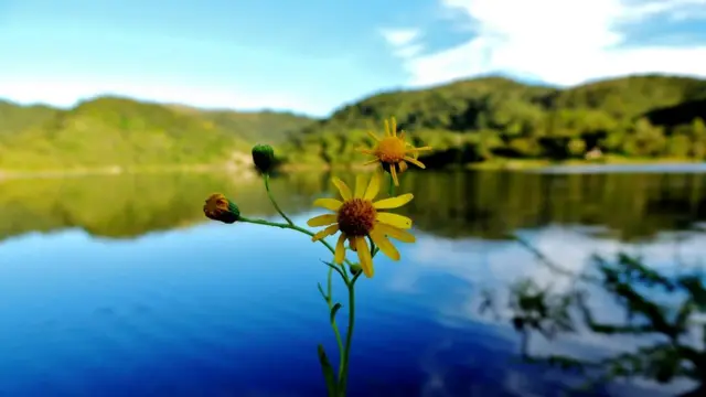 Foto de un lector de BBC Mundo por el tema "Bosques"