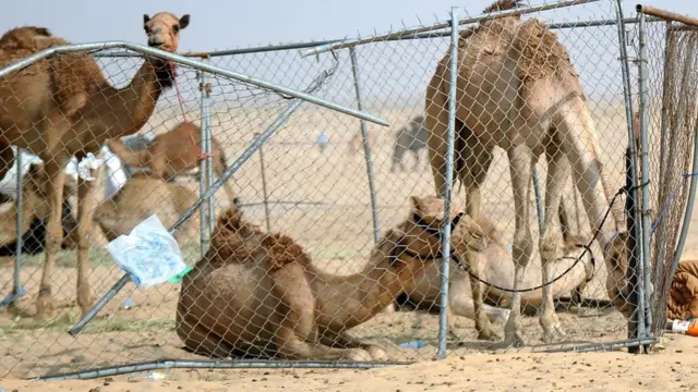 الدول المقاطعة تقول إن خسائر قطر بعد عام كبيرة