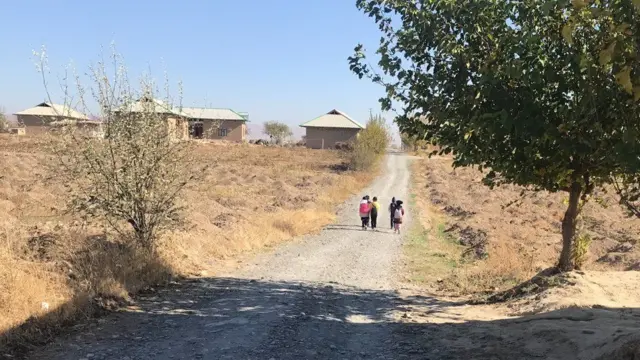 Қишлоқ йўли