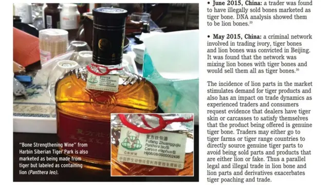 一些人认为虎骨有壮阳的功效，也是传统药材。这些市场对虎骨药酒的需求量相当大