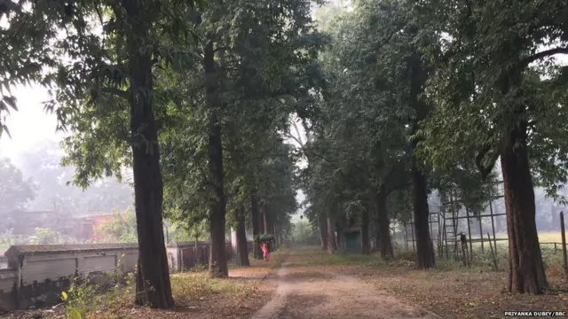 अमृता शेरगिल, विक्टर एगन, गोरखपुर, उत्तर प्रदेश, चीनी मिल, सराया, सरदारनगर