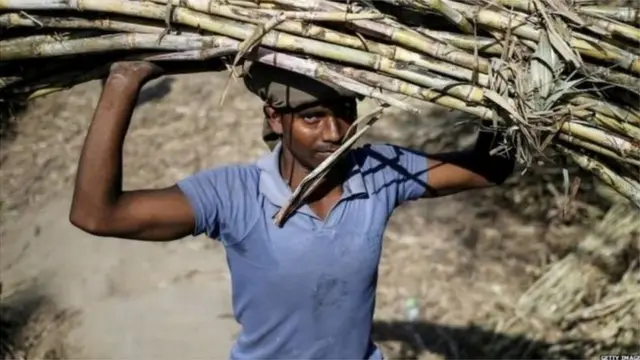 ગ્રામીણ વિસ્તારો માટે મહત્ત્વપૂર્ણ હોય છે સહકારી ક્ષેત્ર