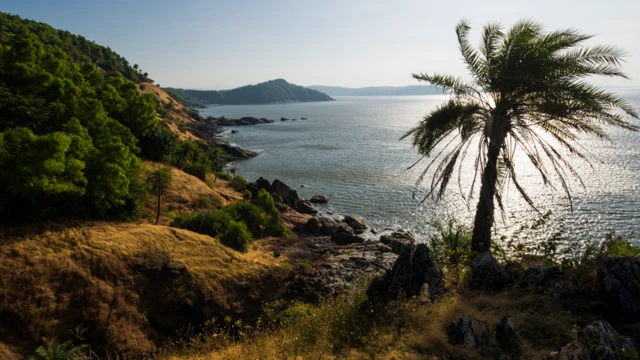 కర్ణాటక, గోకర్ణ, గోవా, రష్యన్ మహిళ, నీనా కుటినా, బెంగళూరు