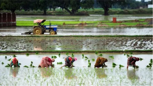 రైతు కూలీలు