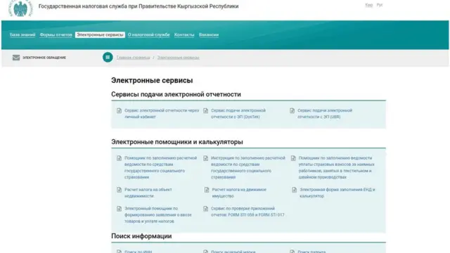 Салык кызматынын сайтынан скриншот