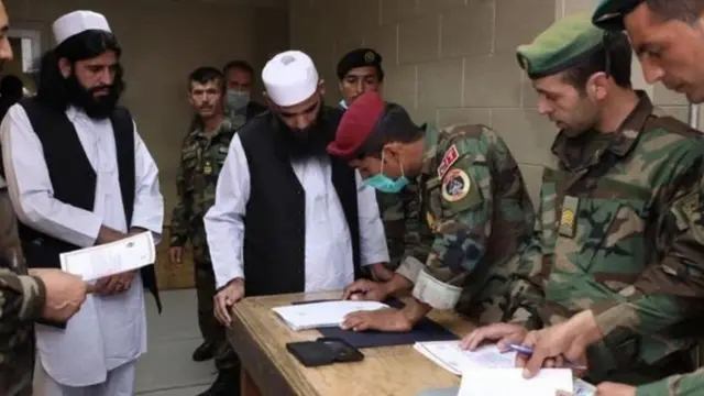 طالبان، افغان