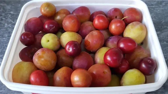 plums