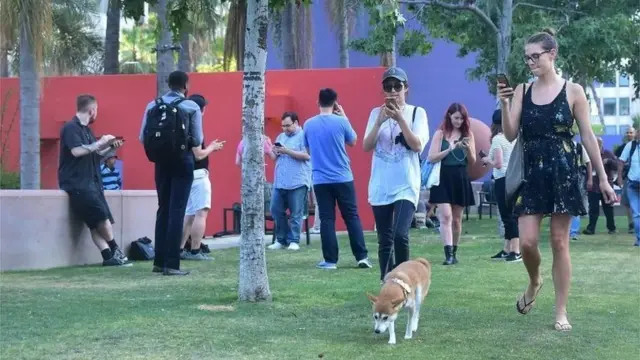 Jugar Pokémon y pasear al perro al mismo tiempo