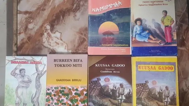 kitaabota Gaaddisaa Biruu keessaa