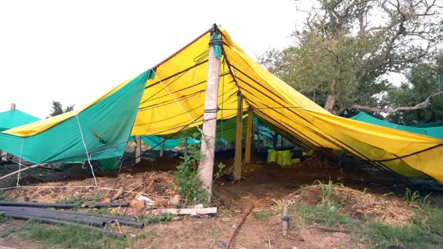 गांडूळ खताचा बेड