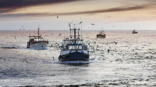 கொரோனா வைரஸ்