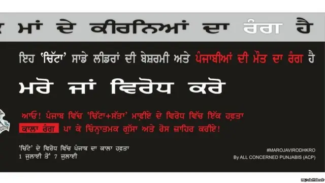 ਪੰਜਾਬ, ਨਸ਼ਾ, ਸੋਸ਼ਲ ਮੀਡੀਆ