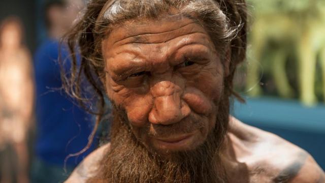 Hombre de Neanderthal en la exhibición de evolución humana en el Museo de Historia Natural de Londres, Reino Unido.