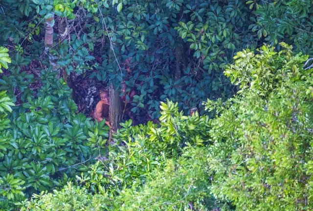 ชนเผ่าพื้นเมืองกลุ่มนี้เข้าไปหลบหลังต้นไม้ทันทีที่เห็นเฮลิคอปเตอร์บินเหนือหมู่บ้าน