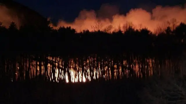 5일 오후 7시 15분 대구 달성군 가창면 오리 야산에서 산불 발생