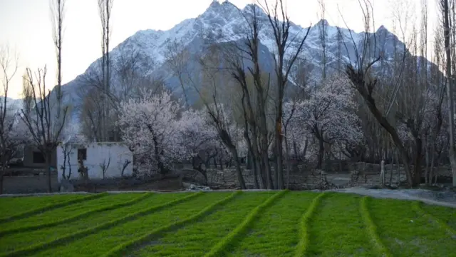 سکردو اور ہنزہ میں موسمِ بہار