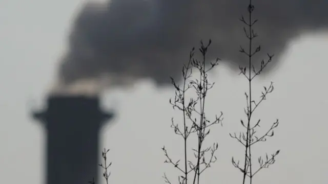 पहली बार वोट