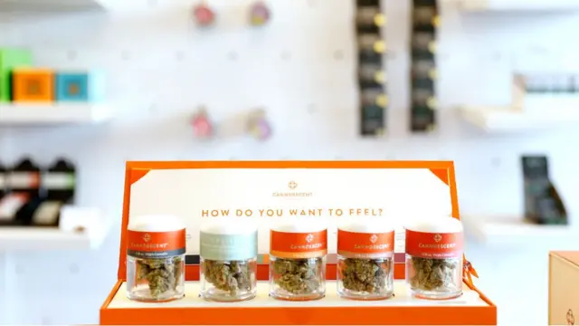 A partir de mediados de octubre, el uso recreativo de la marihuana será legal en todo Canadá.