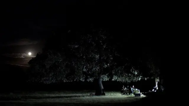 كيف يعود رعي المواشي لإنقاذ العالم في المستقبل؟