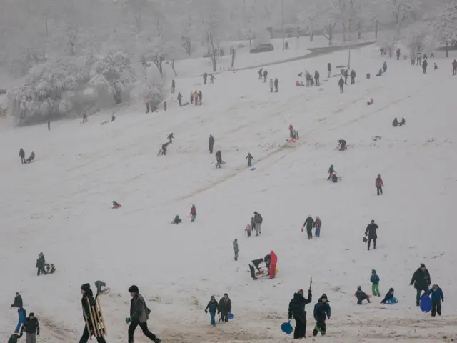 sneg, zima, košutnjak, sankanje