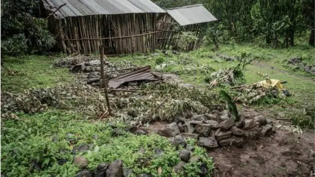 قبر جماعي لضحايا مجزرة في قرية تشينا