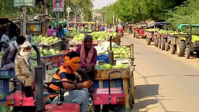 तरबूज़ के किसान