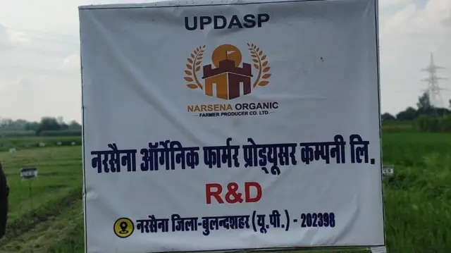 नरसैना ऑर्गेनिक फ़ार्मर प्रोड्यूसर कंपनी लिमिलेड