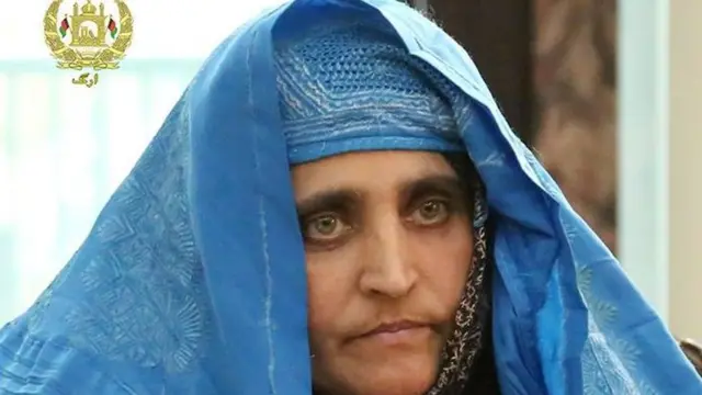 تصویر شربت گل