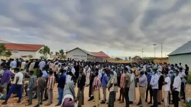 Dadkii safaf dhadheer ugu jira si ay codkooda u dhiibtaan