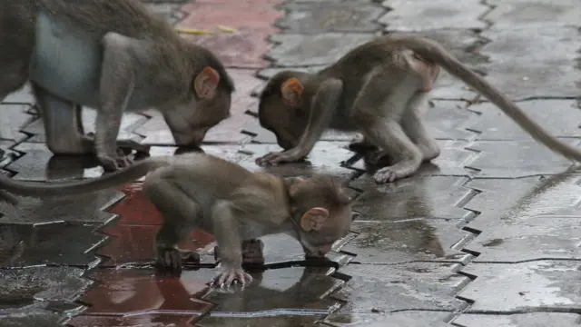 muthuramalingam_s2726