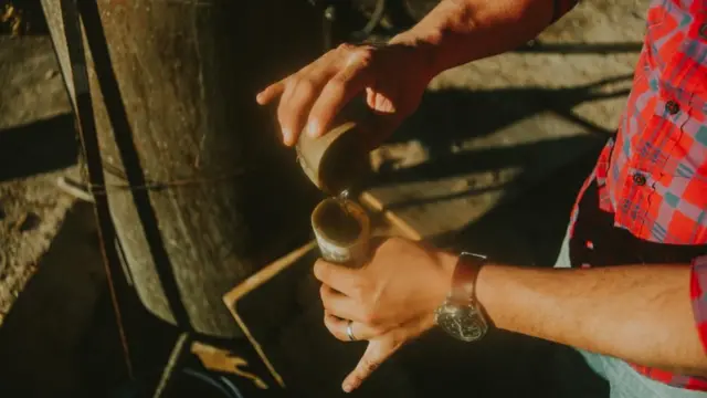Perlado del sotol