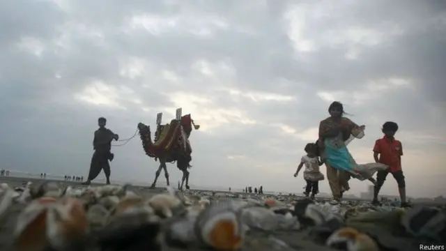 थरपारकर