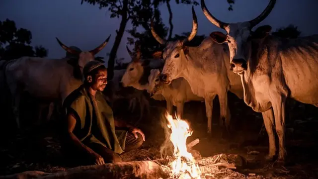 Bafulatani a daji yana kunna wuta bayan ya yada zango
