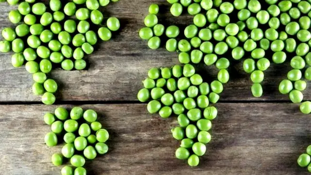 Планета вегетарианцев