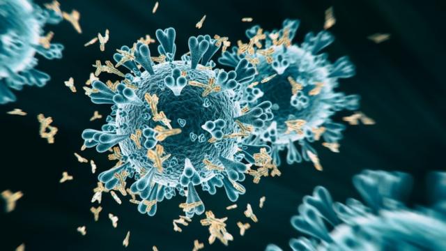 電腦生成的新冠病毒抗體圖像