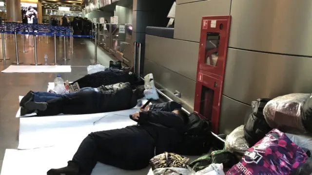 Мигранты во Внуково