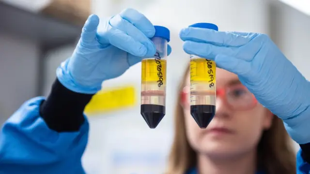 Scientist working on the vaccine