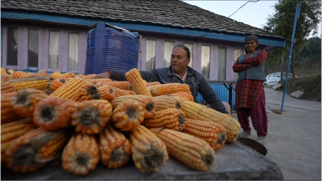 दौलत राम