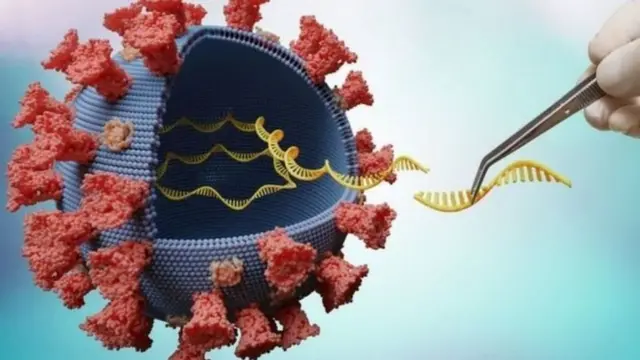 कोरोना, लांब्डा