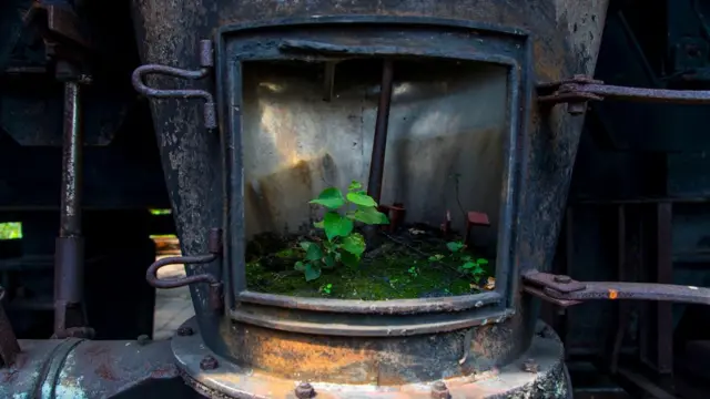 batu bara, tambang, lingkungan, perubahan iklim