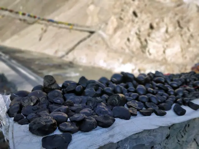 कालीगण्डकीमा पाइने शालिग्राम