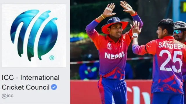 क्रिकेट