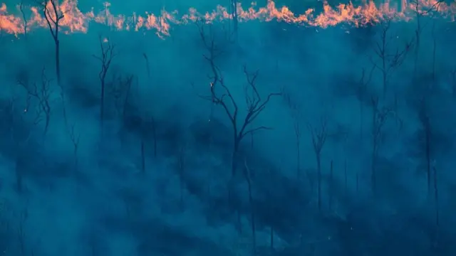 Пожежа в Амазонії