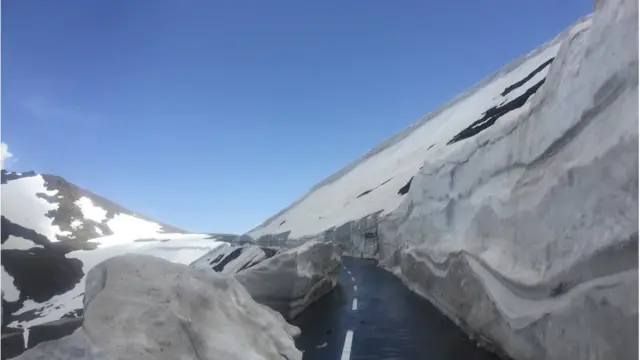 پاکستان جنگلات