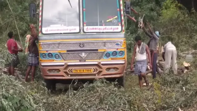 லாரியில் ஏற்றப்படும் மரங்கள்