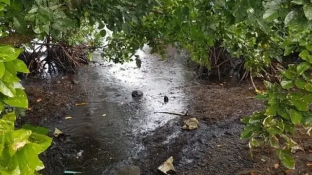 मॉरीशियस में हो रहा तेल रिसाव इतना गंभीर क्यों है