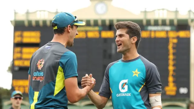 شاہین شاہ آفریدی